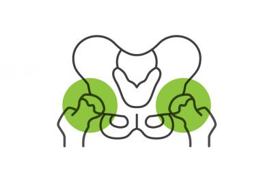Estabilidad de la pelvis